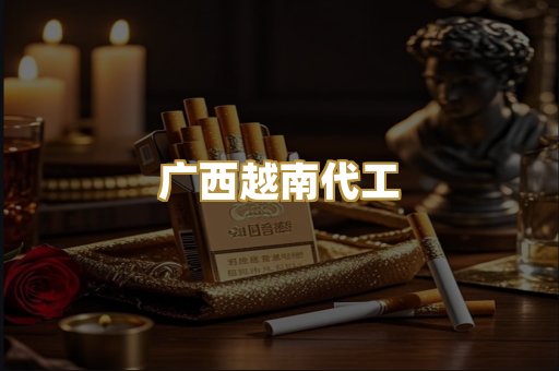 广西越南代工